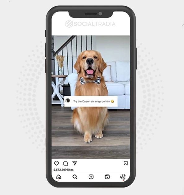 Ecrã do telemóvel que mostra um cão para uma conta Instagram com tema de animais de estimação à venda.