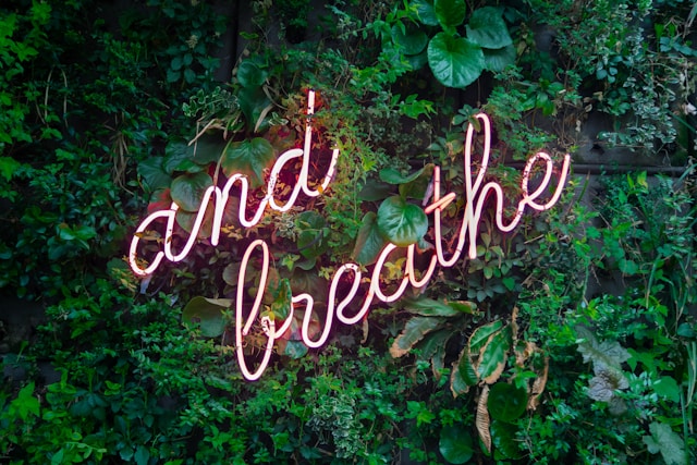 Um letreiro de néon cor-de-rosa que diz: "E respira", contra uma parede de vegetação luxuriante.