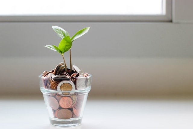 A green plant growing out of a glass full of coins.