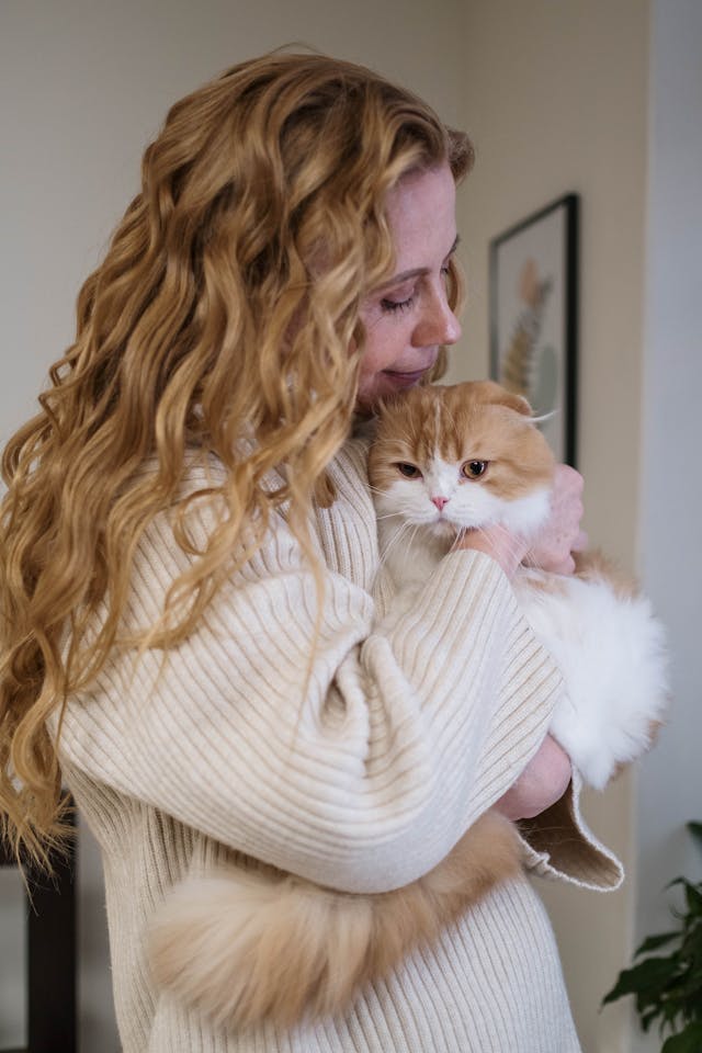 着心地のいいセーターを着たブロンドの女性が、白とオレンジの猫を抱きしめている。