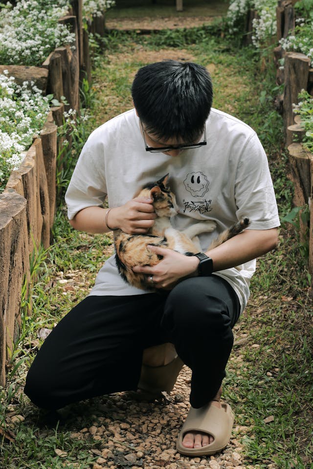 Un uomo inginocchiato in un'area erbosa per portare e accarezzare un gatto randagio.