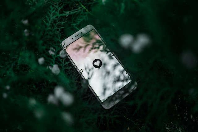 A smartphone in the middle of a plant with a black and white heart icon on the screen.